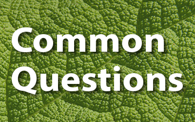Common questions